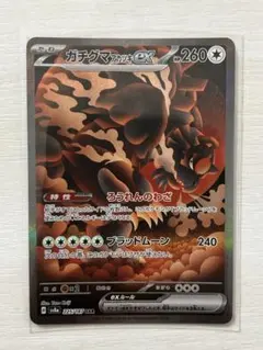 MR様 リクエスト 2点 まとめ商品