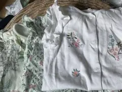 Item thumbnail for item c307ed3e-3ac3-41d2-a527-a31aeb872a80