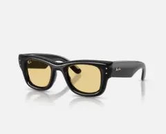 A$AP ROCKY X RAY-BAN WAYFARER PUFFER