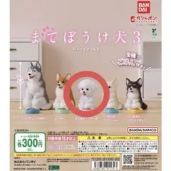 Item thumbnail for item ab0a8129-cb68-4f3c-87af-11fdae278b33