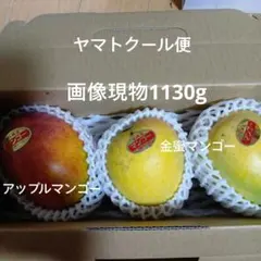 沖縄県産 金蜜マンゴーとアップルマンゴー 現物のサムネイル