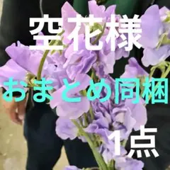 mayufuji ♡空花♡様 リクエスト 4点 まとめ商品