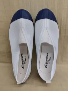 【新品未使用】ムーンスター 上履き カラーメッシュ02 24cm ブルー