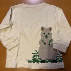 長袖カットソー クリーム色 動物イラスト