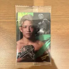 YOSHINORI HORIE プロフィールカード No.30