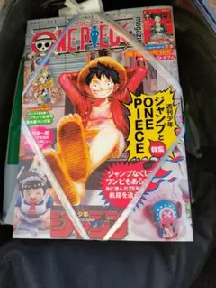 ワンピースマガジン20号 付録付き ワンピースカード 新品未開封 紐付き