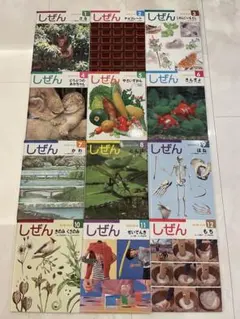 キンダーブック】しぜん 22冊セット 絵本 フレーベル館 - メルカリ