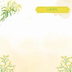 Ur様 リクエスト 2点 まとめ商品