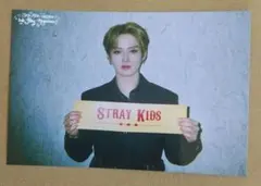 【最終値下げ】未使用 リノ ポストカードE スキズ exhibition 展覧会