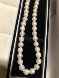 Item thumbnail for item cccc1252-f292-438e-a86a-5c25be8164ca