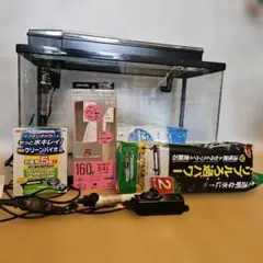 2026年最新】水槽セット 60cm 曲げガラスの人気アイテム - メルカリ