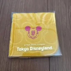 東京ディズニーランド ミッキー タオルハンカチ