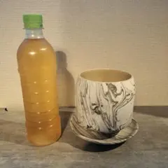 植木鉢 / インテリア / おしゃれ / 陶器鉢のサムネイル
