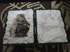 2025年最新】ツバサクロニクル フィギュア 小狼の人気アイテム - メルカリ