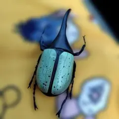 へんなかたちの古代生物 BIGぬいぐるみ ディプロカウルス - メルカリ