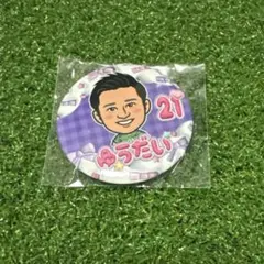 サンフレッチェ広島 ひらがな缶バッジ 田中雄大