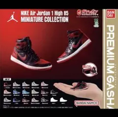 NIKE Air Jordan 1 エアジョーダン 　全18種コンプリートセット