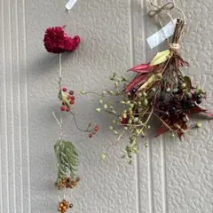 not artificial dry flower