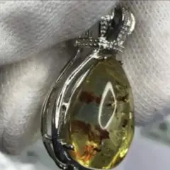 ☆超稀少!!☆アンバー(蜜蝋琥珀) 琥珀 コハク ‼️鑑定書付‼️s925印字