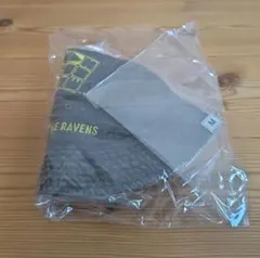 Item thumbnail for item 42c3d855-12c6-454d-a715-cab4bd1bd5d7