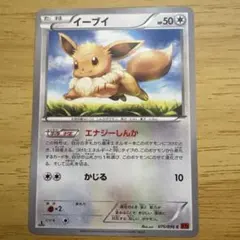 포켓몬 カード イーブイ 075/096 XY3