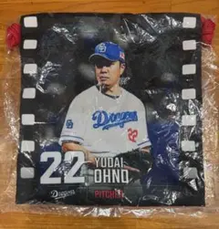 中日ドラゴンズ　最終章　きんちゃく　大野雄大　選手