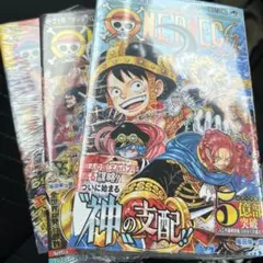 新品シュリンク】ONE PIECE ワンピース113 114巻 初版 帯付 - メルカリ