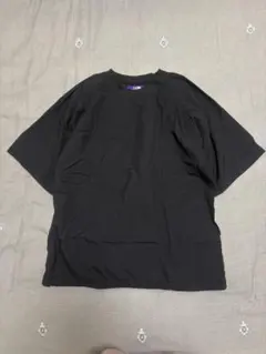 【別注】ノースフェイスパープルレーベル H/S WOVEN TEE/TシャツM