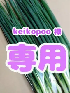 keikopoo様✨専用