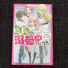 総長さま、溺愛中につき。③クールな総長の甘い告白
