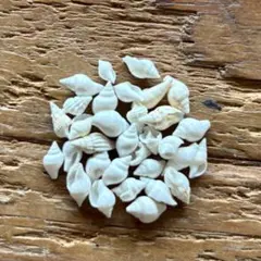 はにわ様 リクエスト 2点 まとめ商品