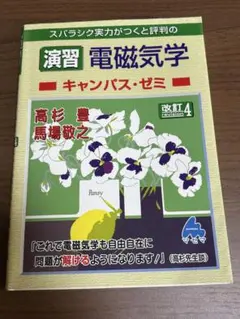 演習 電磁気学キャンパス・ゼミ 改訂4
