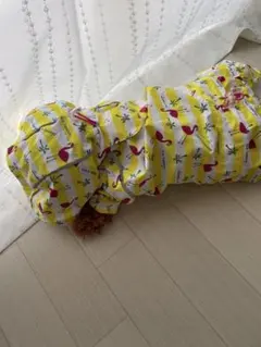 Item thumbnail for item c0b0d6ef-6a04-4e29-b4c6-990a87b46e27