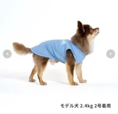 【LIFELIKE 犬服 ドッグウェア サイズ1】のサムネイル