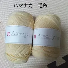 Item thumbnail for item 73400e24-c0ad-4f37-806f-951237c7d520