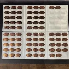 ディズニーリゾート　スーベニアメダル　シー15周年　76枚まとめ売り　ケース入り