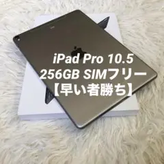 【完動品】iPad Pro 10.5 256GB SIMフリー【すぐ発送】