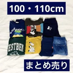 100cm 110cm 묶음 판매 トレーナー パンツ ディズニー 男の子