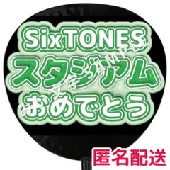田中樹 SixTONES ぷっくりファンサうちわ文字 立体風 スタジアム 2