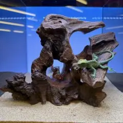 MRW-7788 赤系天然流木　樹洞　隠れ家　流木　アクアリウム　爬虫類