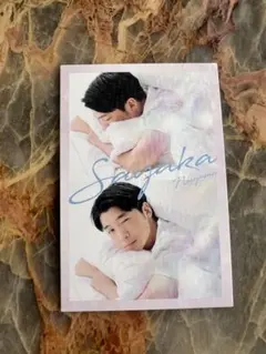 Item thumbnail for item c6c8cea5-29f2-489a-a2f4-1e1085c3533b