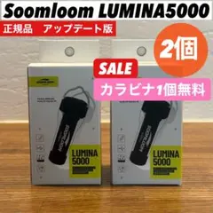 Item thumbnail for item 8c11854e-f91b-4dc8-8beb-a51288ee77aa