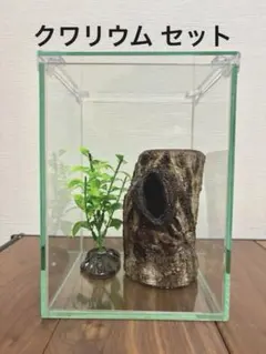 ジェームス様 リクエスト 2点 まとめ商品