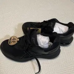 新品未使用　アシックス ウォーキングシューズ ニーズアップ 4E 女性用