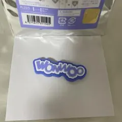 SEVENTEEN セブチ HOME デコパーツ ウォヌ