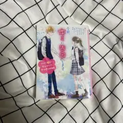 「今日、君に告白します」　小説