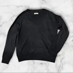 LEPSIM Vネックニット プルオーバー ブラック Fサイズ　YT495