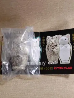 ミイラキャット象牙色×グレー