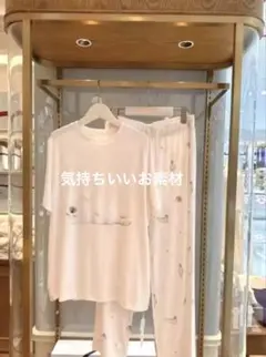 ジェラートピケ⭐︎ゴマアザラシのルームウェアレディス新品ピンク