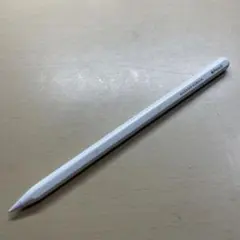 Apple Pencil 第2世代　MU8F2J/A タッチペン ネーム入り